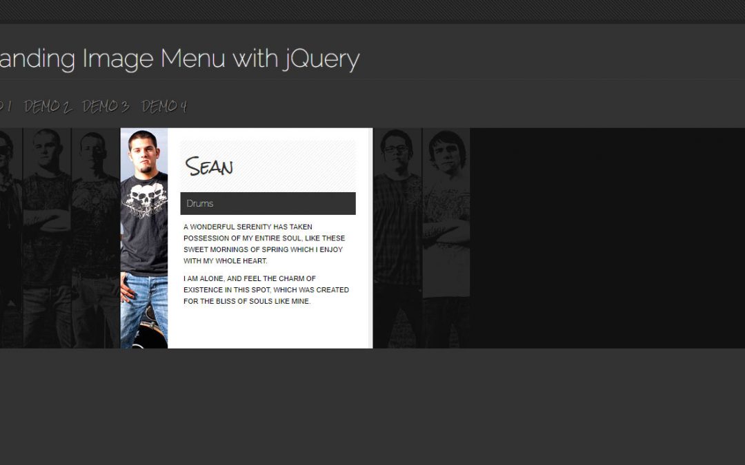 قالب  جدید نمایش پروفایل مدیران با JQuery